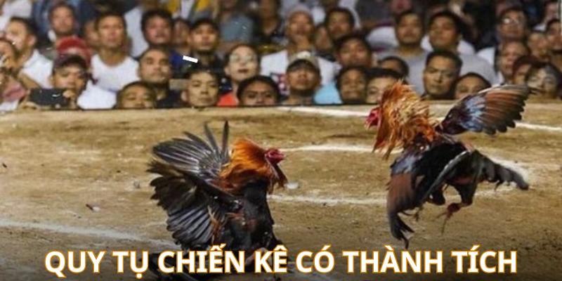 Đá gà c1 quy tụ những siêu kê có thành tích khủng tham đấu với nhau