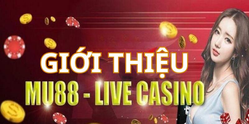 Tìm hiểu thông tin cơ bản nhất về sảnh cược casino